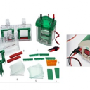 小型垂直电泳与转印系统（Western blot）
