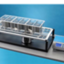 大(小)鼠热辐射痛测定仪（Thermal Plantar Tester）