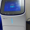 蛋白成像系统-iBright 1500
